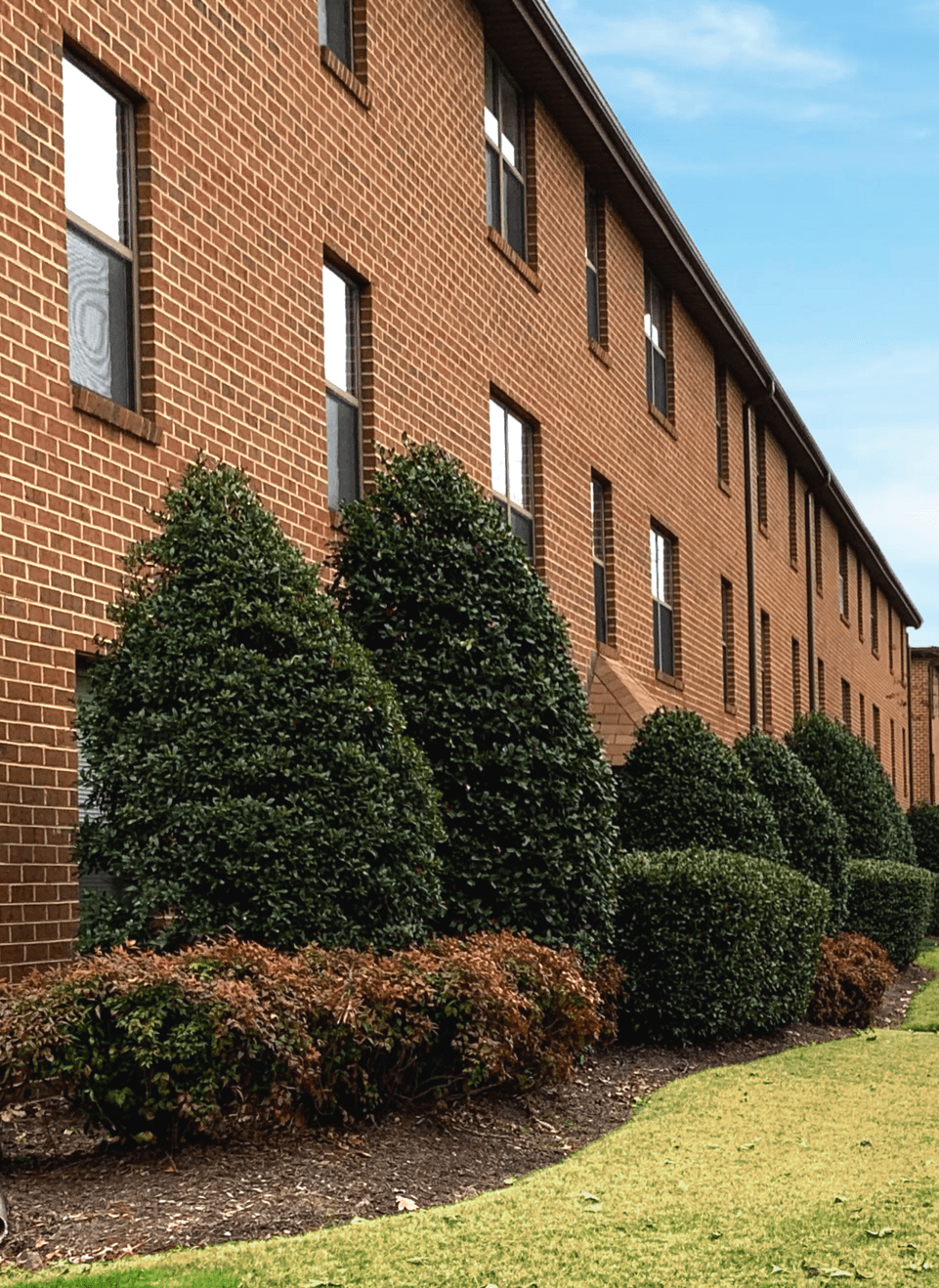 An apartment complex with a tree prominently positioned in front, enhancing the landscape and providing shade.